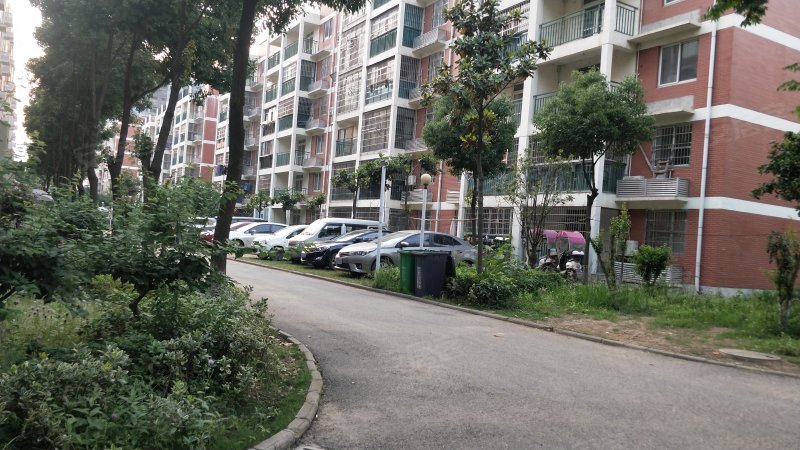 莲花小区