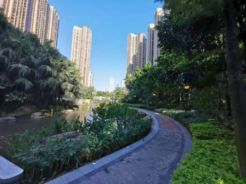 中海千灯湖1号
