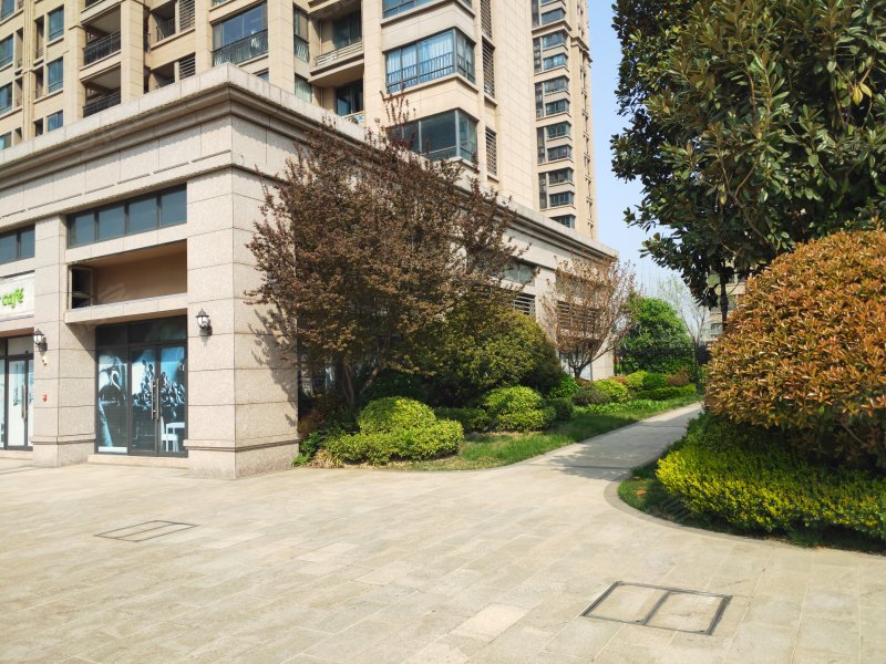 碧桂园(洛龙区),桂园路,近洛偃快速通道-洛阳碧桂园()