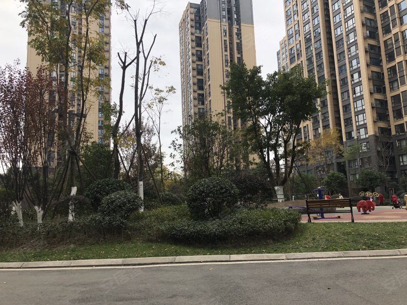 蓝光金双楠(2期)