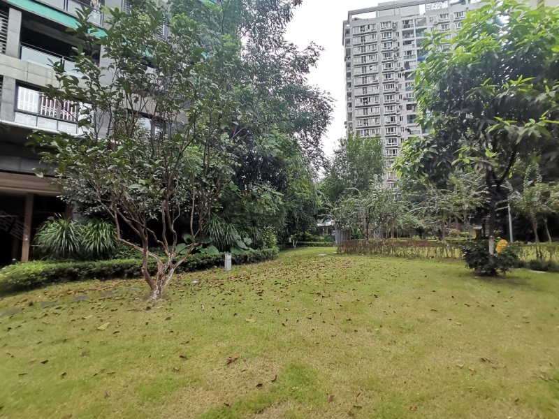 翡翠明珠,光电路18号-重庆翡翠明珠二手房,租房,房价