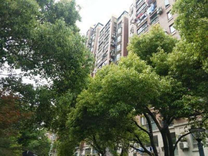 闻喜华庭,曲沃路66弄-上海闻喜华庭二手房,租房,房价