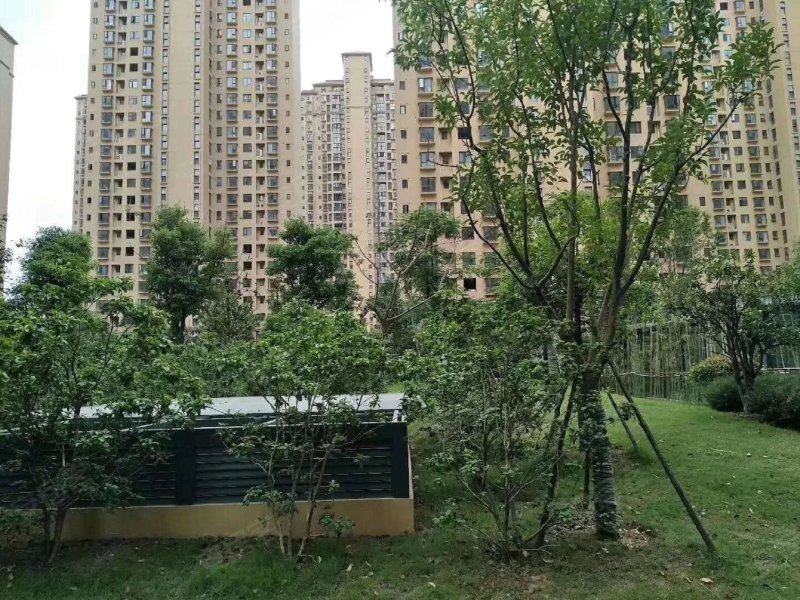 东津世纪城2区金域府