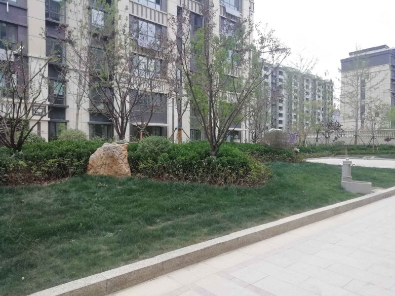天华长城公馆,长城路-菏泽天华长城公馆二手房,租房