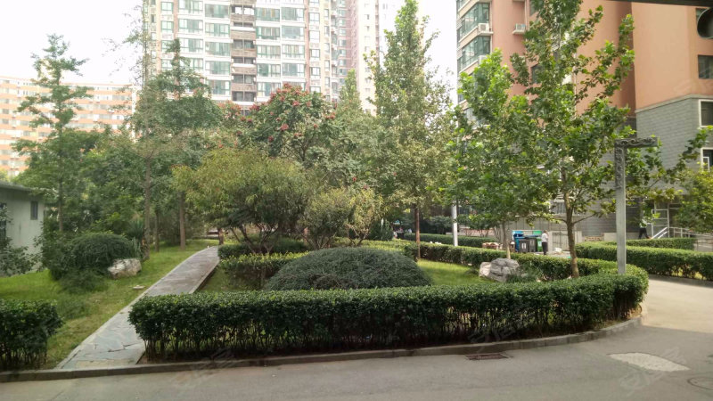 京达国际公寓