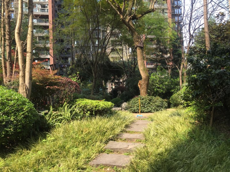 鲁能星城五街区,尚品路777号-重庆鲁能星城五街区二手