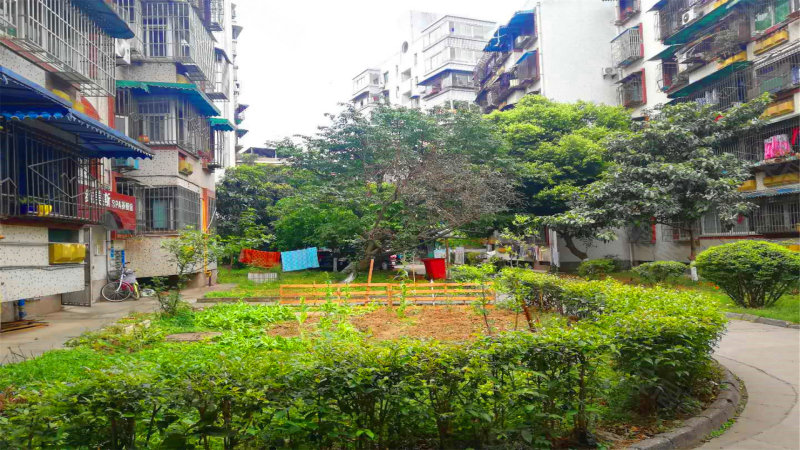 花园小区(涪城),临园路西段5号-绵阳花园小区(涪城)房