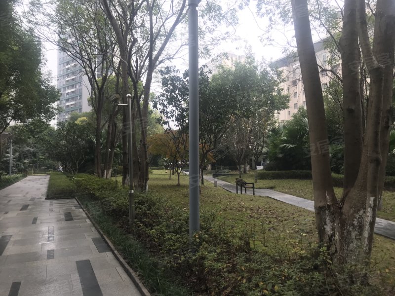 翡翠明珠,光电路18号-重庆翡翠明珠二手房,租房,房价