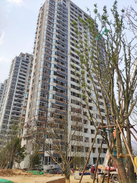 未来星城
