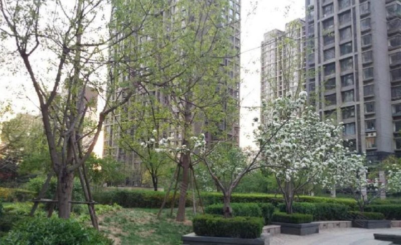 东贸国际花园