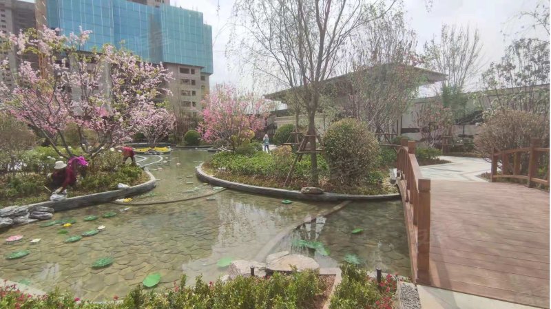 碧桂园珑悦兰庭,南川西路-西宁碧桂园珑悦兰庭二手房