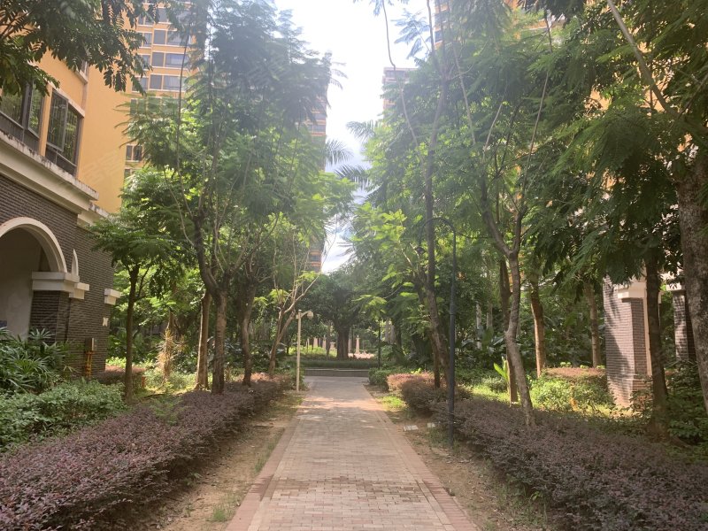 康城四季棕榈园