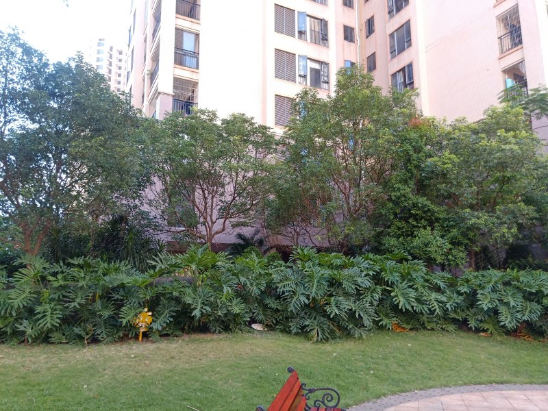 樟树湾半岛首府二期