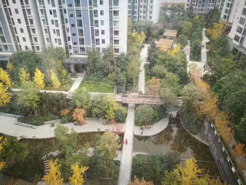 永威东棠,万安街6号-郑州永威东棠二手房,租房,房价