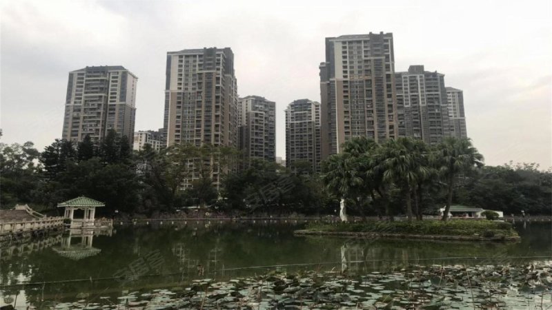 锦园,九洲大道2088号-珠海锦园二手房,租房,房价-珠海
