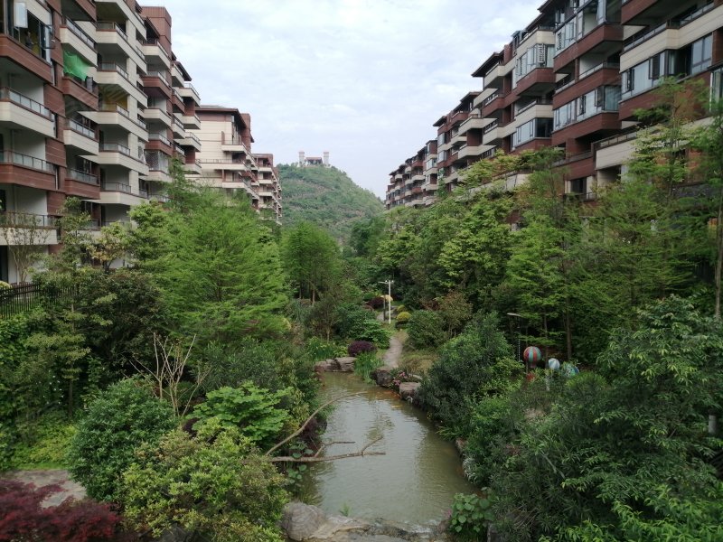 仁山公园紫荆苑,金鳞大道-铜仁仁山公园紫荆苑二手房