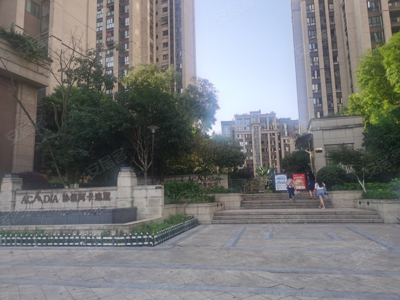 协信阿卡迪亚君临天下