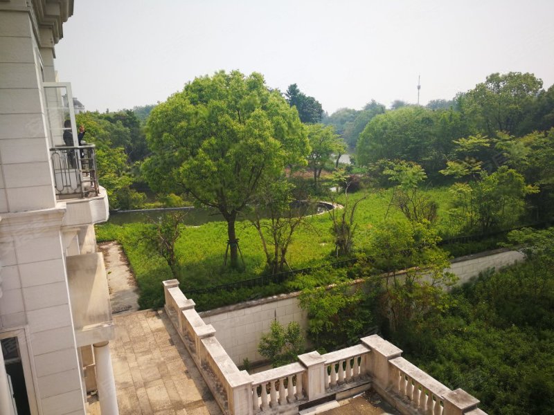檀宫,青溪路555号-上海檀宫二手房,租房,房价-上海