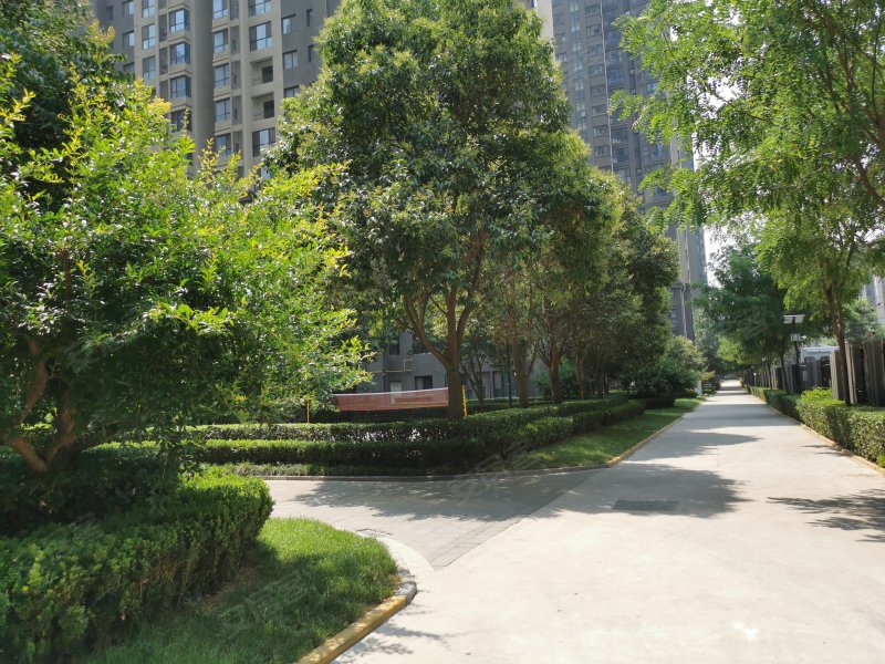 中铁梧桐苑,新开门南路1088号-西安中铁梧桐苑二手房,租房,房价-西安