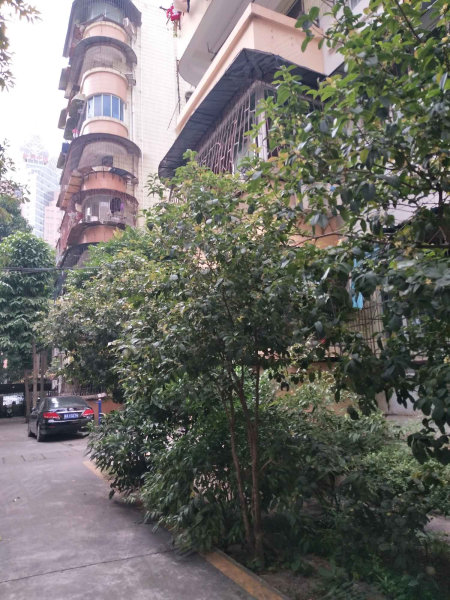 南湖小区,桃源路63-1号-南宁南湖小区二手房,租房,房价-南宁安居客