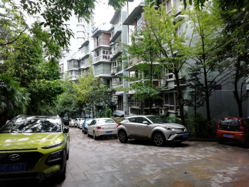 仁和半岛,仁和路中段-自贡仁和半岛二手房,租房,房价