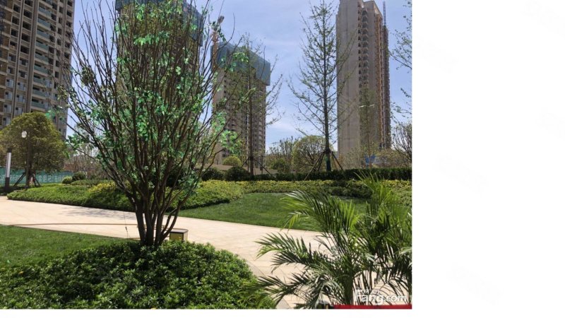 旭辉金科空港,210国道-重庆旭辉金科空港二手房,租房