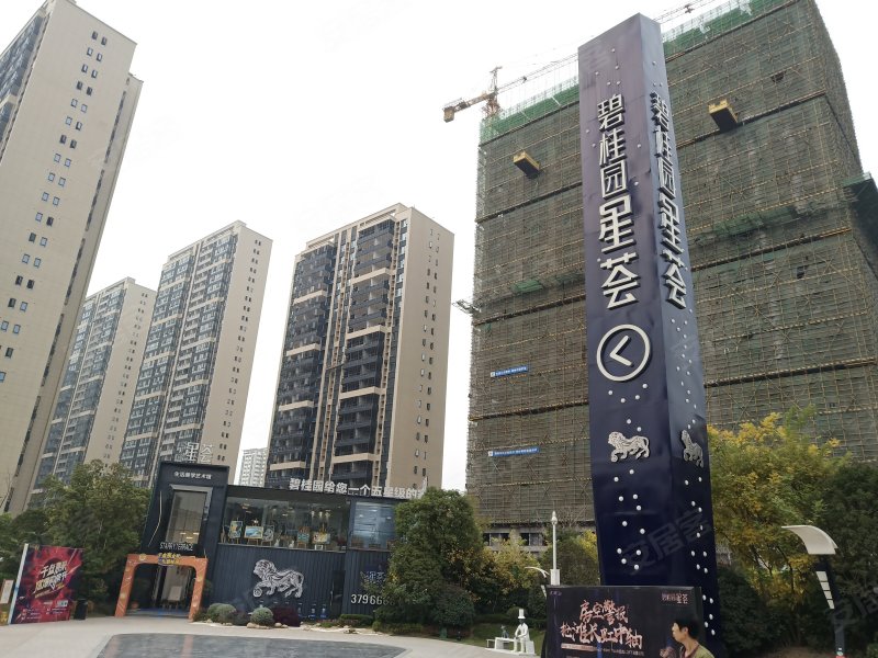 碧桂园星荟,追日路1号-襄阳碧桂园星荟二手房,租房,房价-襄阳安居客