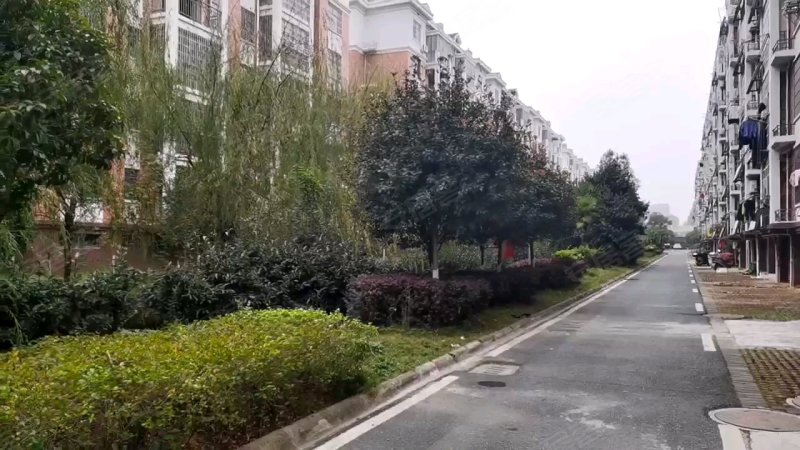天伦城