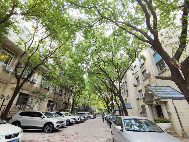 金坤花园,金汇路515弄-上海金坤花园二手房,租房,房价-上海安居客