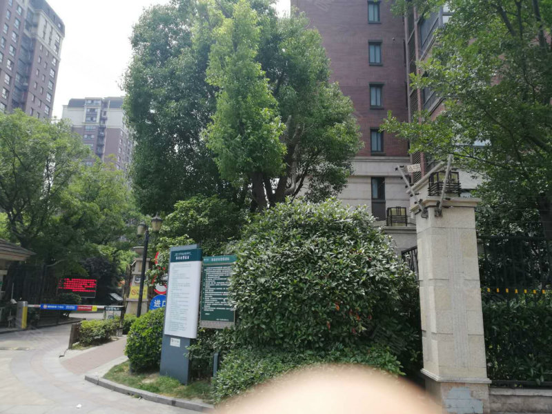 保利叶语(二期别墅,宝菊路133弄-上海保利叶语(二期别墅)二手房,租房