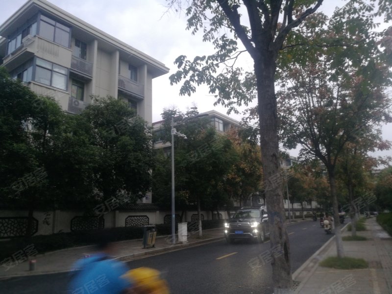 大树根小区,中央路208号-南京大树根小区二手房,租房,房价-南京安居客