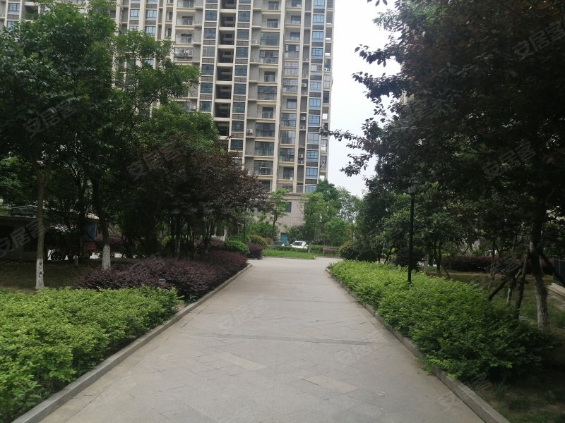 新慧金水岸d区,凤湖西路-合肥新慧金水岸d区二手房