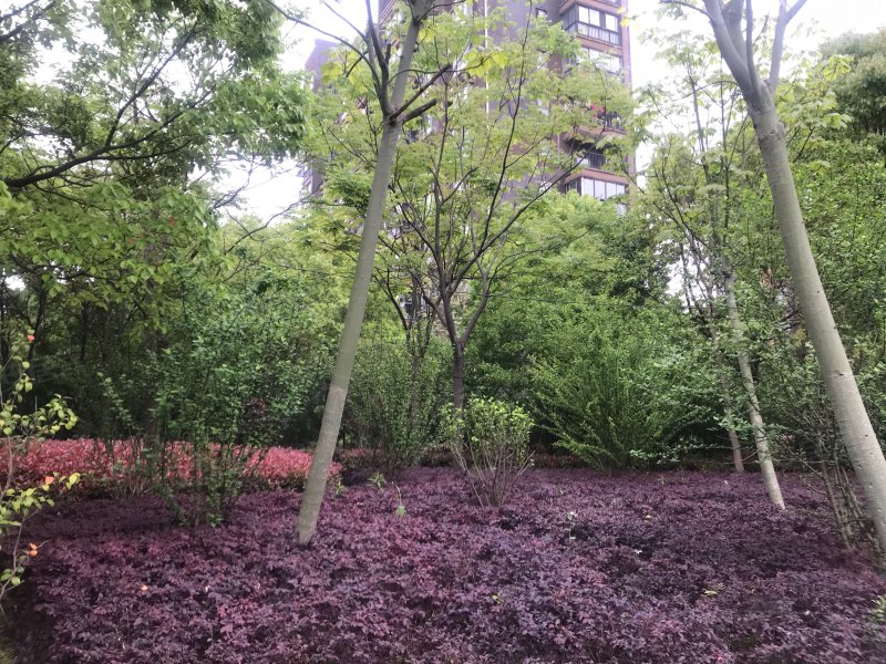西郊虹韵城景雅苑