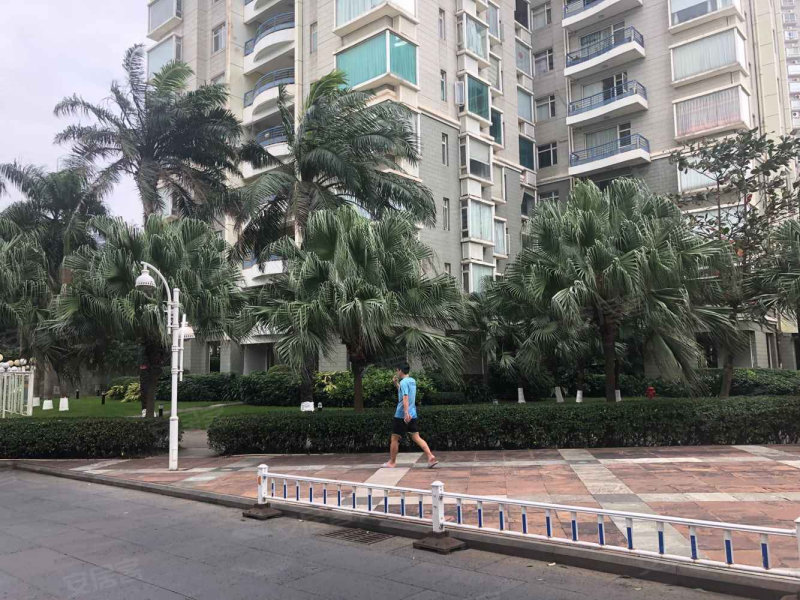 紫荆花园(一区),紫荆路11号-海口紫荆花园(一区)二手