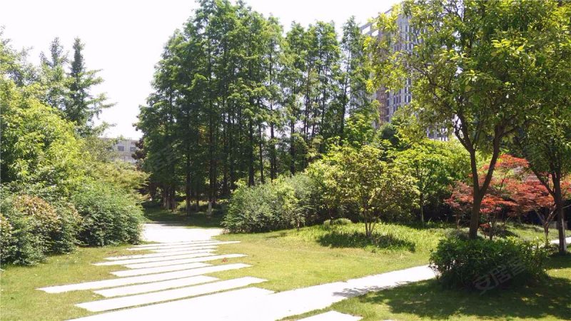保亿风景蝶院观园