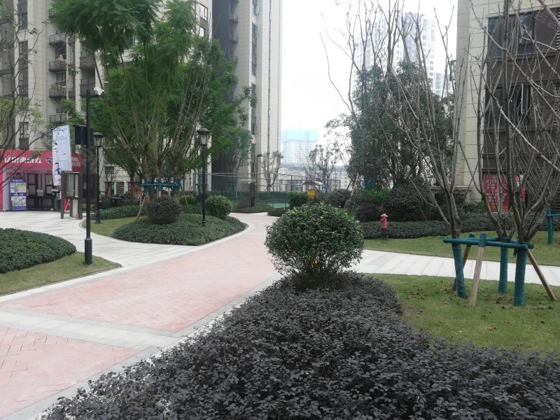 保利观塘香榭,二塘路66号-重庆保利观塘香榭二手房,租房,房价-重庆