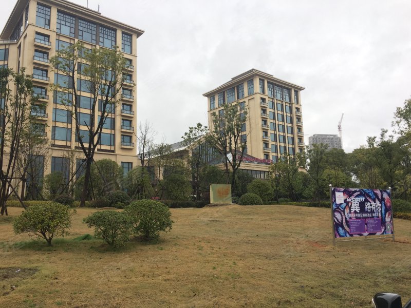 保利半山国际(别墅),红湾大道66号-南昌保利半山国际