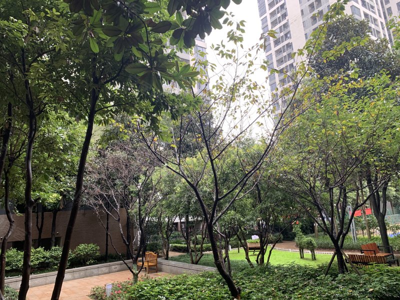 龙湖睿城(c区)