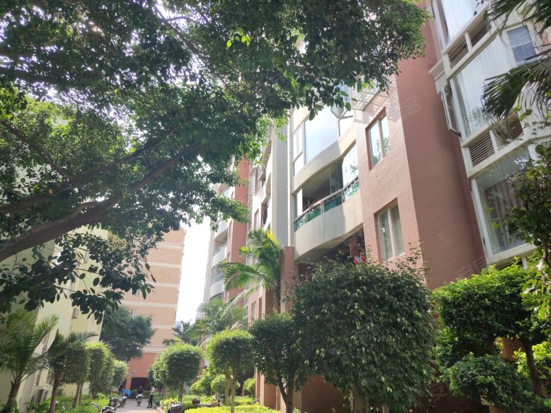 金帝花园,泉秀街87号-泉州金帝花园二手房,租房,房价