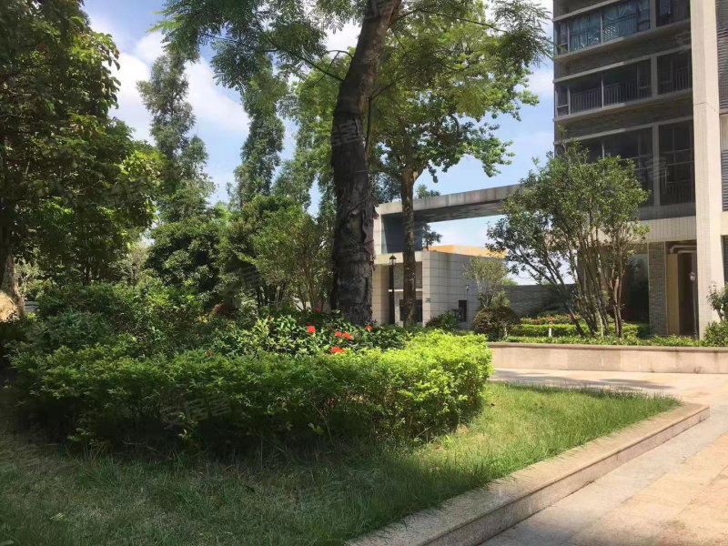 璐易豪庭,民科西路10号-中山璐易豪庭二手房,租房