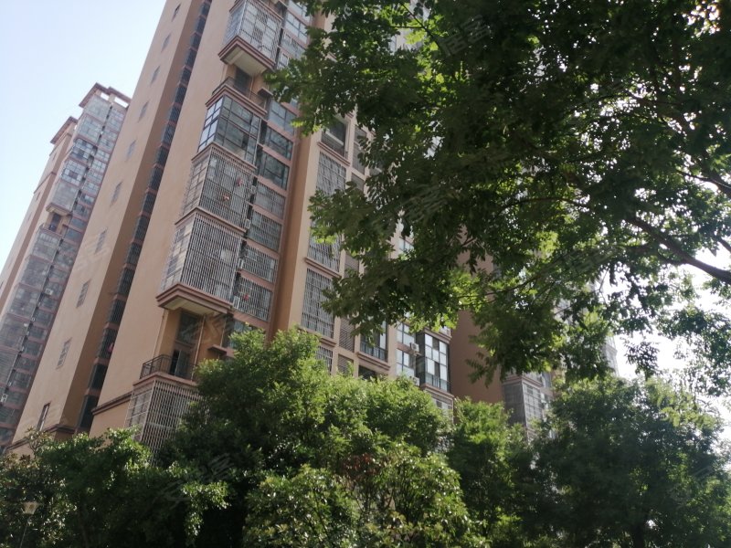 阳光上东,高新大道199号-宝鸡阳光上东二手房,租房