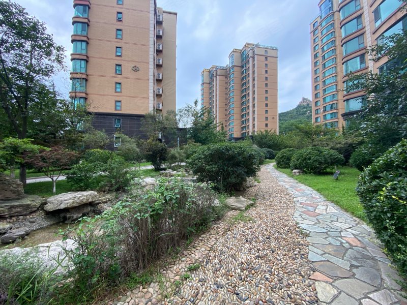 领世华府,香港东路119号-青岛领世华府二手房,租房,房价-青岛安居客