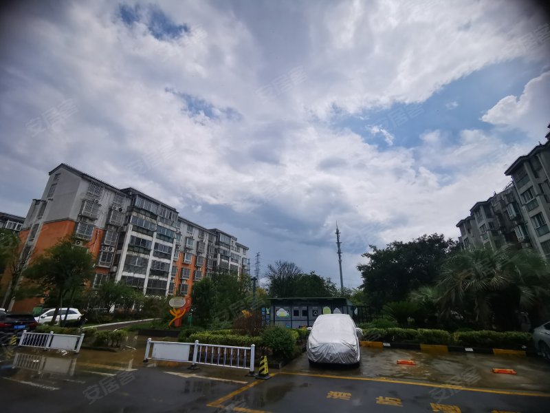 润渡佳苑(东区),春荣路800弄-上海润渡佳苑(东区)二手