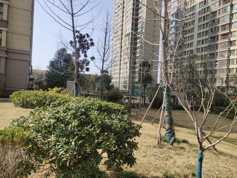 皖新文化广场翡翠庄园