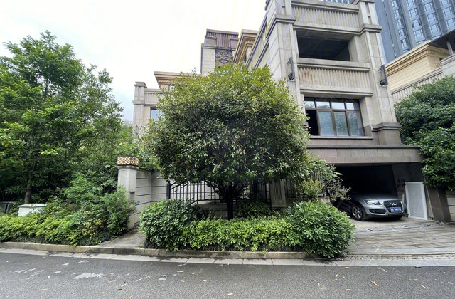 长沙房产网>长沙小区>开福小区>广电中心小区>藏珑湖上国际花园(别墅)