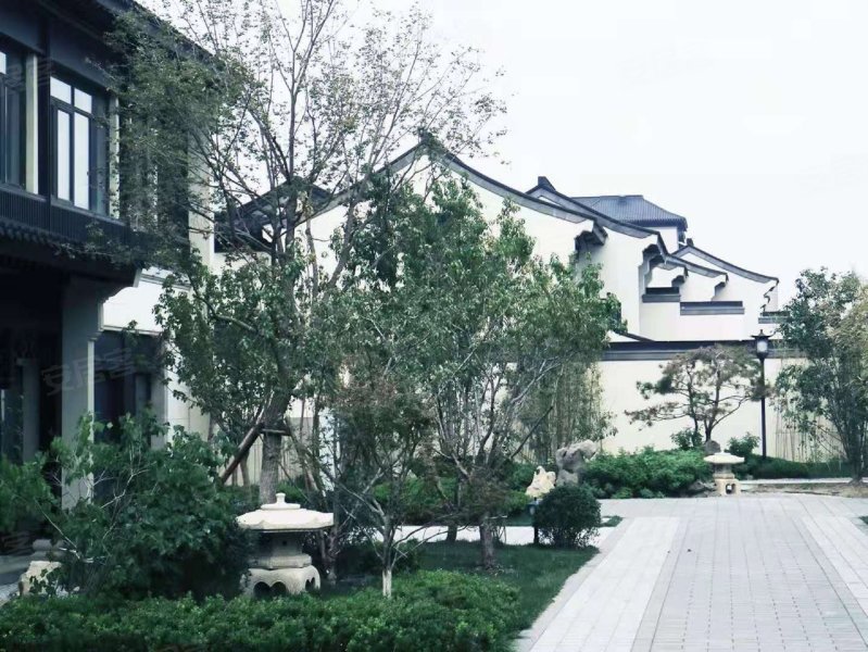绿城桃李春风(别墅,中央大道-天津绿城桃李春风(别墅)二手房,租房