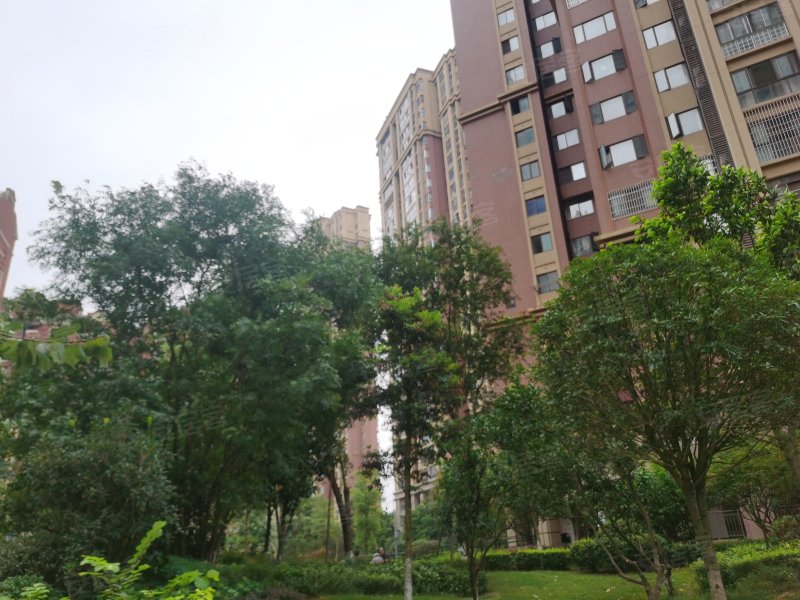 凯旋国际,外环路158号-资阳凯旋国际二手房,租房,房价