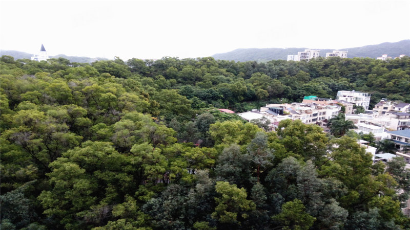 万和公馆(别墅,南虹二街33号-珠海万和公馆(别墅)二手房,租房,房价
