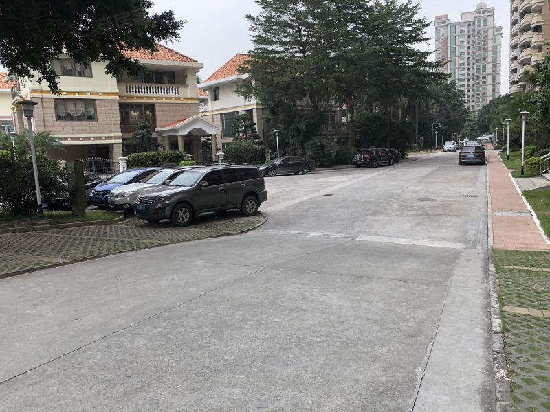 愉景花园(东城街道),石井支路-东莞愉景花园(东城街道