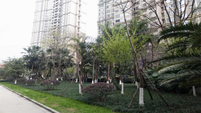 天府世家,锦城大道1000号-成都天府世家二手房,租房,房价-成都安居客
